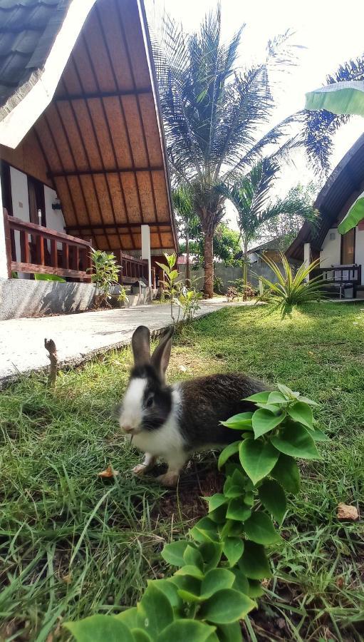Follow The Rabbit Bungalow Gili Air Exterior photo