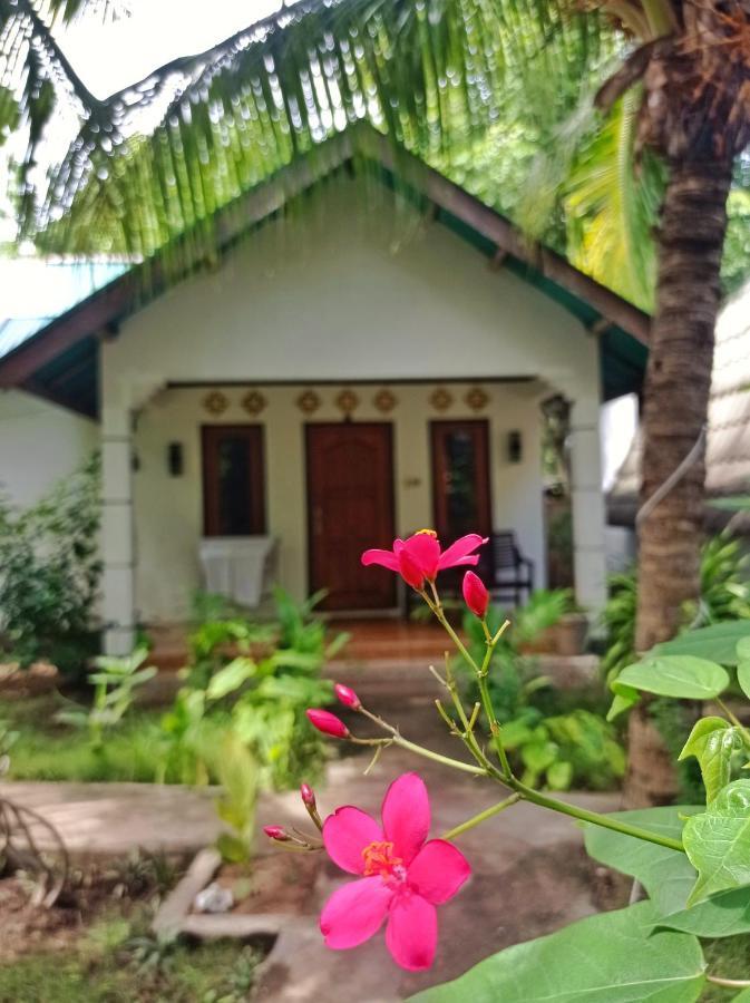 Follow The Rabbit Bungalow Gili Air Exterior photo