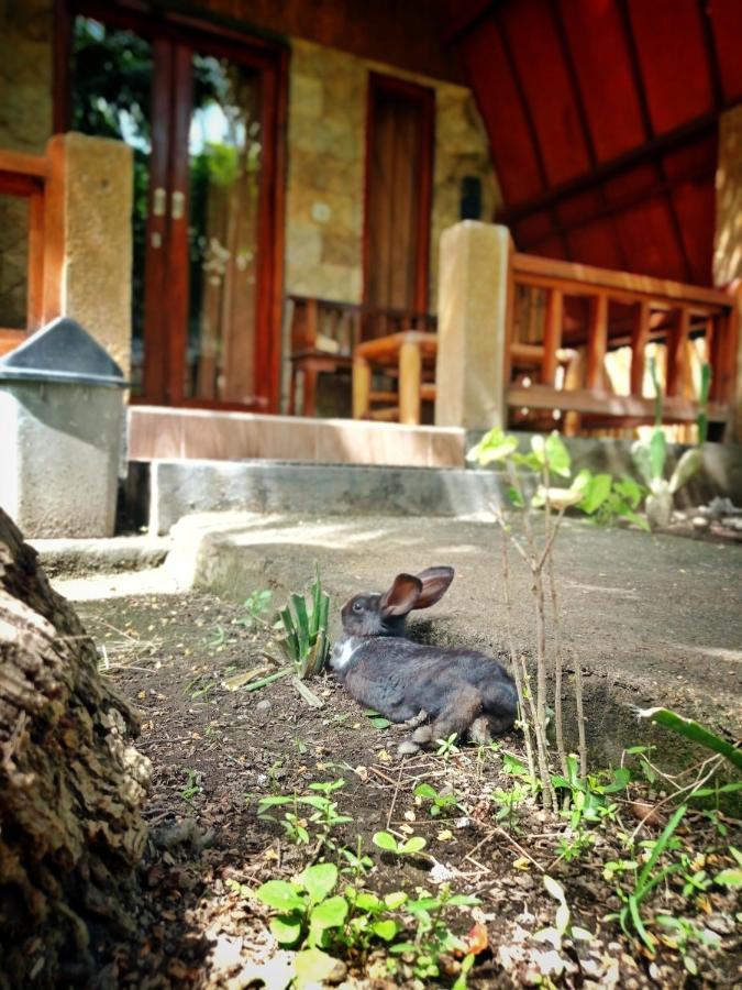 Follow The Rabbit Bungalow Gili Air Exterior photo